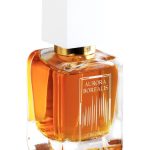 عطر ادکلن نورثرن سامر آرورا بورئالیس - Северное лето — Northern Summer Aurora Borealis - بررسی، قیمت و خرید
