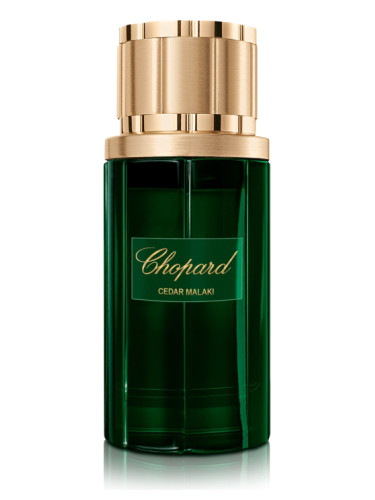 عطر ادکلن سیدر ملکی شوپارد - Cedar Malaki Chopard - بررسی، قیمت و خرید