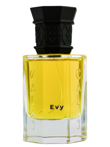 عطر ادکلن ایوی کالاج - EVY Calaj - بررسی، قیمت و خرید