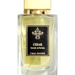 عطر ادکلن سزار کاسا اینویدیا - César Casa Invidia - بررسی، قیمت و خرید