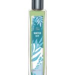 عطر ادکلن واتر آیوی بروکارد - Water Ivy Brocard - بررسی، قیمت و خرید