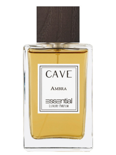عطر ادکلن آمبرا کیو - Ambra Cave - بررسی، قیمت و خرید