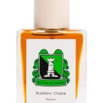 عطر ادکلن بلو بری چیپر آروماس د سالازار - Blueberry Chypre Aromas de Salazar - بررسی، قیمت و خرید