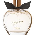 عطر ادکلن هارمونی دو سوآر کو د کور - Harmonie du Soir Coup de Coeur - بررسی، قیمت و خرید
