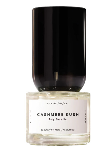 عطر ادکلن کشمیر کوش بوی اسملز - Cashmere Kush Boy Smells - بررسی، قیمت و خرید