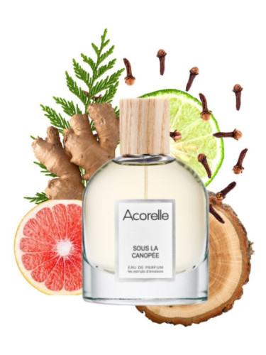عطر ادکلن سولا کانوپه آکُرِل - Sous La Canopée Acorelle - بررسی، قیمت و خرید