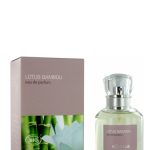 عطر ادکلن لوتوس بامبو آکورل - Lotus Bambou Acorelle - بررسی، قیمت و خرید