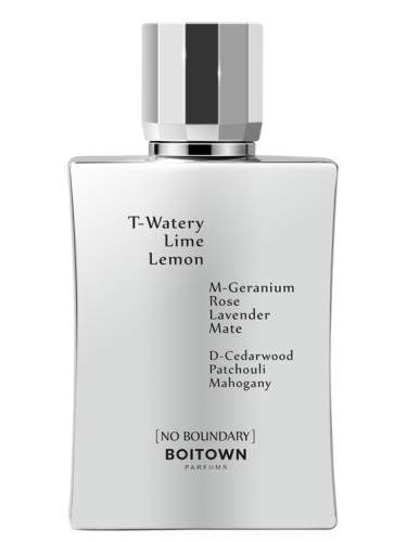 عطر ادکلن نو باندری بویتون - No Boundary 无界 Boitown 冰希黎 - بررسی، قیمت و خرید
