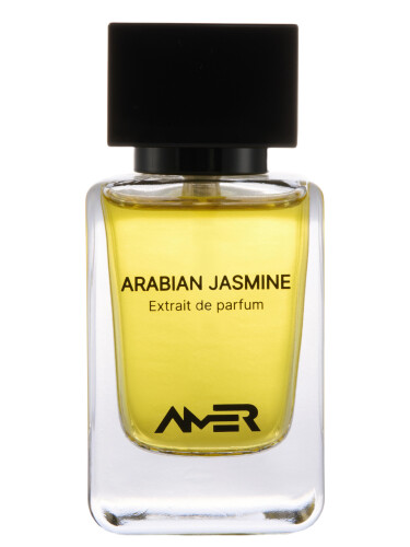عطر ادکلن یاسمن عربی امیر پرفیومز - Arabian Jasmine Amer Perfumes - بررسی، قیمت و خرید