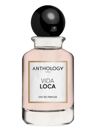 عطر ادکلن ویوا لوکا آنتولوژی - Vida Loca Anthology - بررسی، قیمت و خرید