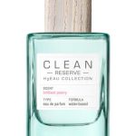 عطر ادکلن اچ تو اُ بریلینت پئونی کلین - H2Eau Brilliant Peony Clean - بررسی، قیمت و خرید