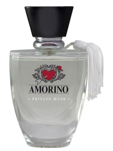عطر ادکلن پریوت ماسک اَمورینو - Private Musk AMORINO - بررسی، قیمت و خرید