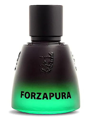 عطر ادکلن فورزا پورا اگاتو پارفوم - Forzapura Agatho Parfum - بررسی، قیمت و خرید