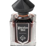 عطر ادکلن پردایس سُیل اریج ل دوری - Paradise Soil Areej Le Doré - بررسی، قیمت و خرید