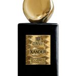 عطر ادکلن زَندِر کیو - Xander Cave - بررسی، قیمت و خرید