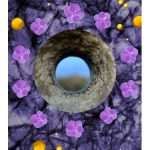 عطر ادکلن کرون آف وایولتس اند فرگرنسز - Crown Of Violets ånd fragrances - بررسی، قیمت و خرید