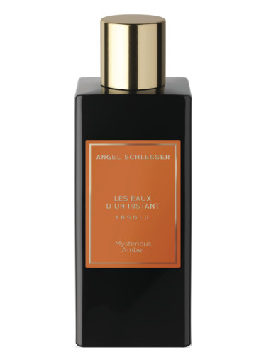 عطر ادکلن مِستیریوس اَمبِر آنجل شلسر - Mysterious Amber Angel Schlesser - بررسی، قیمت و خرید