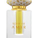 عطر ادکلن سول آو امیر اَجمال - Soul Of Amir Ajmal - بررسی، قیمت و خرید