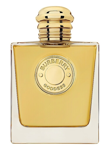 عطر ادکلن گادس اینتنس باربری - Goddess Intense Burberry - بررسی، قیمت و خرید