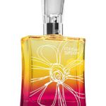 عطر ادکلن فوراِوِر سانشاین بث اند بادی ورکز - Forever Sunshine Bath & Body Works - بررسی، قیمت و خرید