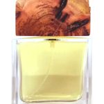 عطر ادکلن آمبره بیبی بیگلر - Ambra Bibi Bigler - بررسی، قیمت و خرید