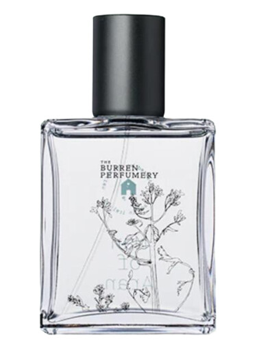 عطر ادکلن آران بورن پرفیومری - Aran Burren Perfumery - بررسی، قیمت و خرید