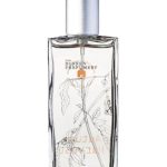 عطر ادکلن آتام هارویست بورن پرفیومری - Autumn Harvest Burren Perfumery - بررسی، قیمت و خرید