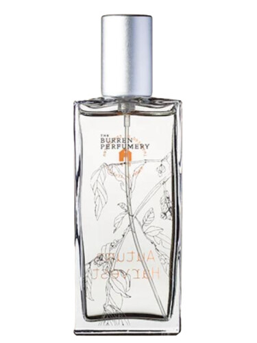 عطر ادکلن آتام هارویست بورن پرفیومری - Autumn Harvest Burren Perfumery - بررسی، قیمت و خرید