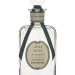 عطر ادکلن جولی بوا آنتوانت پواسن - Joli Bois Antoinette Poisson - بررسی، قیمت و خرید