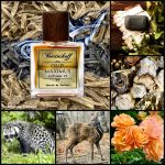 عطر ادکلن عود ماکسیماس بورتنیکوف - Oud Maximus Bortnikoff - بررسی، قیمت و خرید