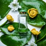 عطر ادکلن واتر لیلی سان آرین - Waterlily Sun Aerin - بررسی، قیمت و خرید