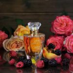 عطر ادکلن ‌وانس آپان اِ تایم فایربلوم بروکارد - Once Upon A Time Firebloom Brocard - بررسی، قیمت و خرید