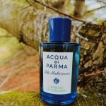 عطر ادکلن آکوا دی پارما بلو مدیترانه - چیپرسو دی توسکانا آکوا دی پارما - Acqua di Parma Blu Mediterraneo - Cipresso di Toscana Acqua di Parma - بررسی، قیمت و خرید