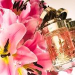عطر ادکلن بیزر وله او دو پرفیوم کلکتور ادیشن کارتیر - Baiser Vole Eau de Parfum Collector Edition Cartier - بررسی، قیمت و خرید