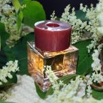 عطر ادکلن ایلوشن فور هر بوتگا ونتا - Illusione for Her Bottega Veneta - بررسی، قیمت و خرید