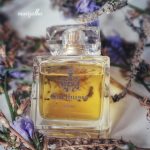 عطر ادکلن آریا دی کاپری کارتوزیا - Aria di Capri Carthusia - بررسی، قیمت و خرید