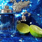 عطر ادکلن کُچ بلو کوچ - Coach Blue Coach - بررسی، قیمت و خرید
