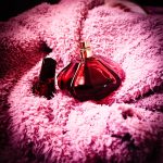عطر ادکلن سیکرت آبسشن کلوین کلاین - Secret Obsession Calvin Klein - بررسی، قیمت و خرید