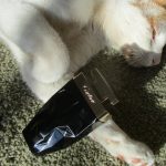 عطر ادکلن لا پانیتره اتینسلانت کارتیه - La Panthère Etincelante Cartier - بررسی، قیمت و خرید