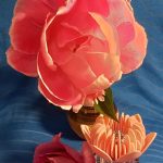 عطر ادکلن بلومارین رزا بلومارین - Blumarine Rosa Blumarine - بررسی، قیمت و خرید