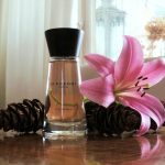 عطر ادکلن تاچ فور وومن بربری - Touch for Women Burberry - بررسی، قیمت و خرید