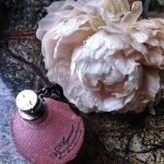 عطر ادکلن ایجنت پرووکاتور او اموشنل ایجنت پروواکتر - Agent Provocateur Eau Emotionnelle Agent Provocateur - بررسی، قیمت و خرید