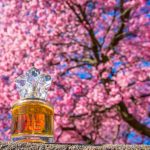 عطر ادکلن اون لایف بای کنزو تاکادا فور هر ایوون - Avon Life by Kenzo Takada for Her Avon - بررسی، قیمت و خرید