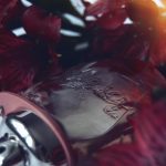 عطر ادکلن کوچ فلورال بلش کوچ - Coach Floral Blush Coach - بررسی، قیمت و خرید