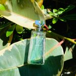 عطر ادکلن ایتِرنیتی سامِر کلوین کلاین - Eternity Summer Calvin Klein - بررسی، قیمت و خرید
