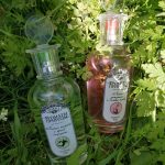 عطر ادکلن وایلد استرابری اند هرپس بروکارد - Лесная земляника и полевые травы - Wild Strawberry and Herbs Brocard - بررسی، قیمت و خرید