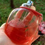 عطر ادکلن کوچ فلورال بلش کوچ - Coach Floral Blush Coach - بررسی، قیمت و خرید