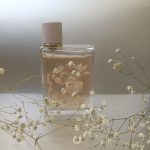 عطر ادکلن بربری هر پتلز بربری - Burberry Her Petals Burberry - بررسی، قیمت و خرید