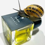 عطر ادکلن تیندر باروتی - Tindrer Baruti - بررسی، قیمت و خرید