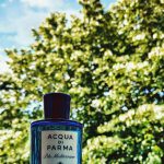 عطر ادکلن آکوا دی پارما بلو مدیترانه - چیپرسو دی توسکانا آکوا دی پارما - Acqua di Parma Blu Mediterraneo - Cipresso di Toscana Acqua di Parma - بررسی، قیمت و خرید